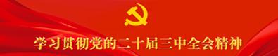 学习贯彻党的二十届三中全会精神